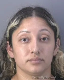 Mugshot of TANIA A SANTIAGO GONZALEZ booked in Hendry County, Florida on June 9, 2026