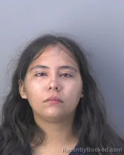 Mugshot of Estefani Anahi Zavala booked in Hendry County, Florida on October 11, 2026