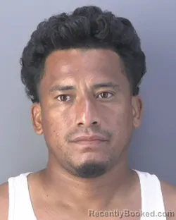 Mugshot of Cristhian Baldemar Hernandez Melendez booked in Hendry County, Florida on October 14, 2026