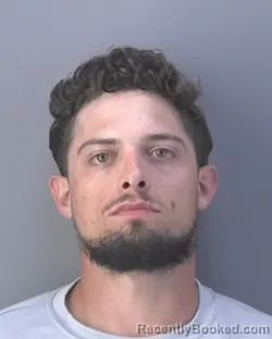 Mugshot of JOSHUA DAVID WALLS