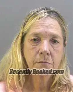 Booking photo from Hendry County, Florida