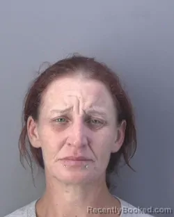 Mugshot of Amanda K Spires booked in Hendry County, Florida on August 20, 2026