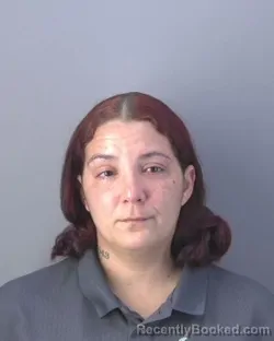 Mugshot of ELIZABETH TORRES MENDEZ booked in Hendry County, Florida on June 15, 2026