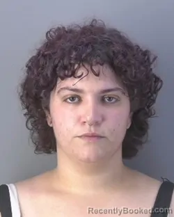 Mugshot of ALEXANDRA MARIE CASSELS booked in Hendry County, Florida on April 26, 2026