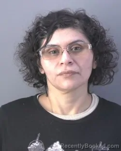 Mugshot of WENDIS ISABEL TURCIOS booked in Hendry County, Florida on June 24, 2026