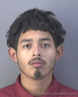 Mugshot of JOSHUA DALLAS ORTIZ
