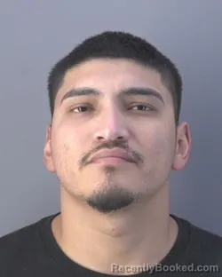 Mugshot of JULIO BUSTAMANTE