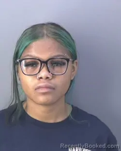 Mugshot of AMIRANI BROOKS booked in Hendry County, Florida on April 9, 2026