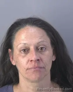 Mugshot of CHRISTINE JOY WILLIAMS