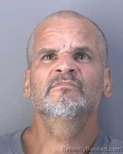 Mugshot of SAUL NAVARRETO