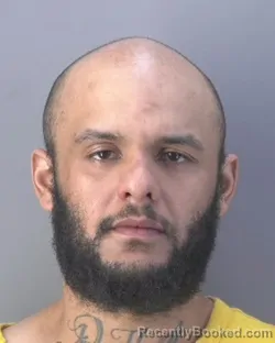 Mugshot of DANIEL PATRICK GELORMINO