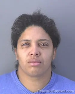 Mugshot of YEILIS VIERA VARONA