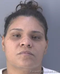 Mugshot of ERICKA MARIE RAMOS DELGADO booked in Hendry County, Florida on June 17, 2026