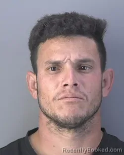 Mugshot of ALEJANDRO ADRIAN FONSECA-GIL