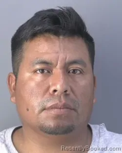 Mugshot of MARIO BIRLANTINO VELAZQUEZ GODINES