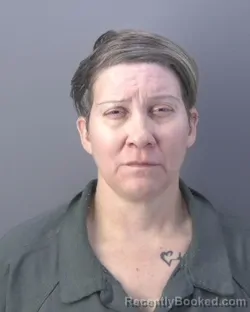 Mugshot of LINNETTE COLON