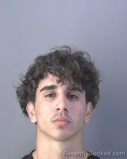 Mugshot of BRYAN DIAZ