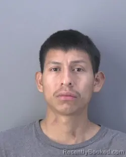 Mugshot of ERNESTO DOMINGO-MEJIA