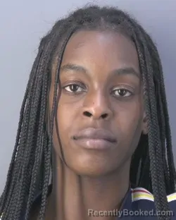 Mugshot of ABIGAIL CAROLYN THOMAS booked in Hendry County, Florida on April 6, 2026