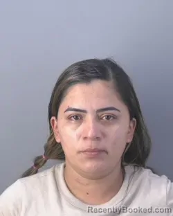 Mugshot of MARIA ISABEL JARQUIN RUIZ booked in Hendry County, Florida on April 16, 2026