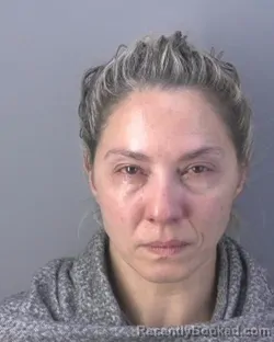 Mugshot of DANIELE CRISTINA VITORINOPOOLEY booked in Hendry County, Florida on April 17, 2026