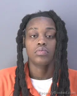 Mugshot of SHATAVIA VONSHAI APPLINS booked in Hendry County, Florida on May 17, 2026