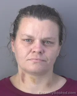 Mugshot of AMBER LYNN STALEY booked in Hendry County, Florida on July 26, 2026