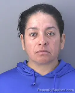 Mugshot of Esmeralda Mendoza Rodriguez booked in Hendry County, Florida on August 27, 2026