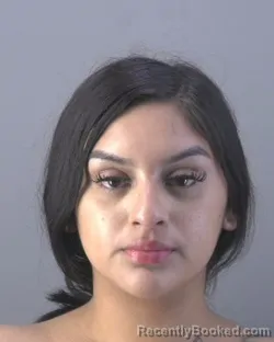 Mugshot of Adriana Rose Ramirez booked in Hendry County, Florida on August 30, 2026