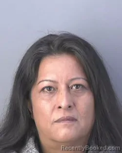 Mugshot of Maria Delourdes Ortega Hernandez booked in Hendry County, Florida on October 18, 2026
