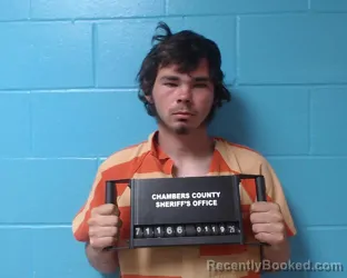 Mugshot of Shawn Hunter Wallace