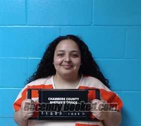 Mugshot of Selena Yvonne Ellis booked in Chambers County, Texas on June 25, 2026