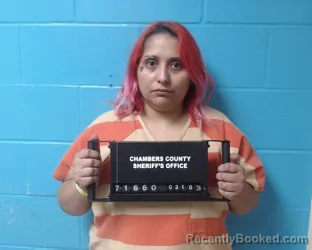 Mugshot of Felicia Llopiz booked in Chambers County, Texas on March 10, 2026