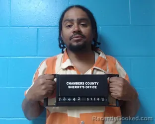 Mugshot of Ronnie Mitchell Brawner