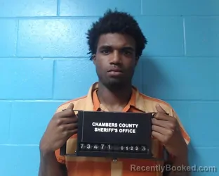 Mugshot of Andrew Dayton Lewis