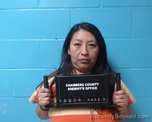 Mugshot of Erlinda Garcia