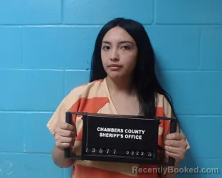 Mugshot of Melyssa Nino