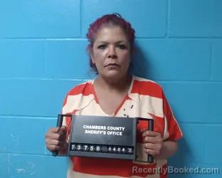 Mugshot of Omayra Torres-Rodriguez booked in Chambers County, Texas on April 4, 2026