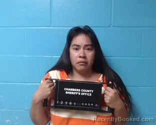 Mugshot of Erica Perkins-Black booked in Chambers County, Texas on April 4, 2026