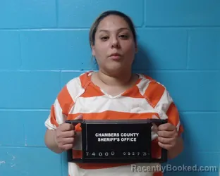 Mugshot of Lisa Marie Serrant booked in Chambers County, Texas on May 27, 2026