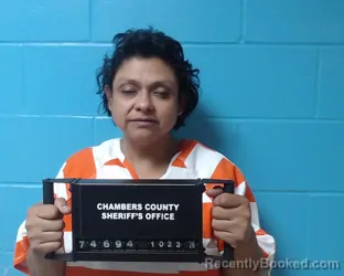 Mugshot of Nelda Llemile Callejas booked in Chambers County, Texas on October 23, 2026