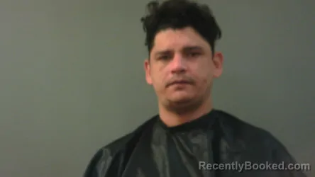 Mugshot of RAUL GRAMEZ ALIAGA