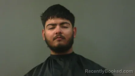 Mugshot of JOSE PENA