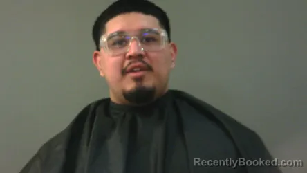 Mugshot of LUIS HERNANDEZ