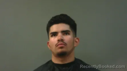 Mugshot of ROMAN GARCIA