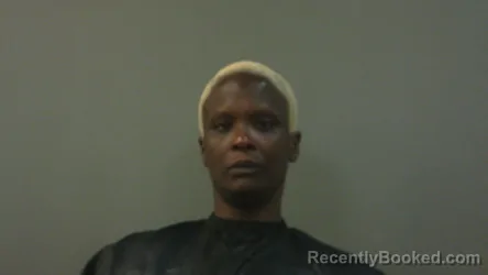 Mugshot of BRENDA FREEMAN booked in Childress County, Texas on April 28, 2026