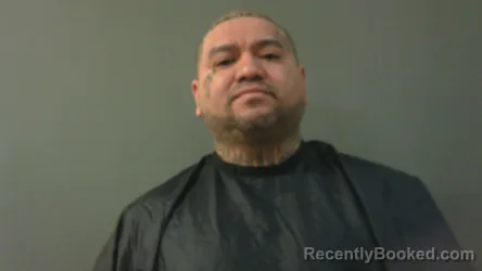 Mugshot of MARTIN FLORES