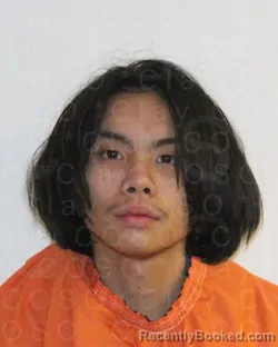 Mugshot of TYSON NGUYEN