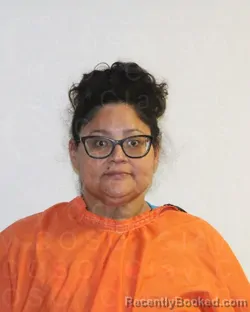 Mugshot of VANESSA NICHOL CONTRERAS
