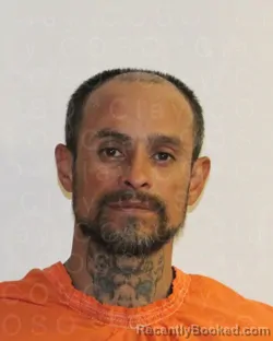Mugshot of JOSE RUBEN TAPIA VILLA